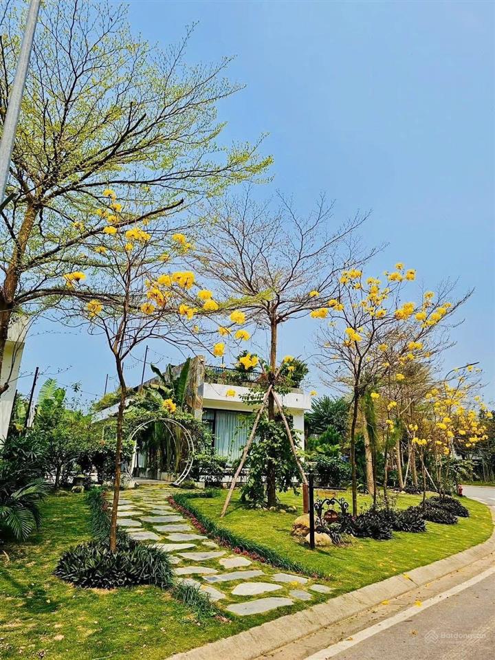 Bán đất nền đấu giá bt 250m2 trong flamingo đại lải, không phải xây. giá chỉ 34tr/m2.0988 970 ***