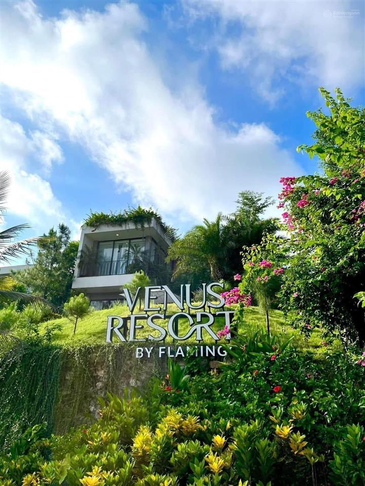 Bán đất nền đấu giá bt 250m2 trong flamingo đại lải, không phải xây. giá chỉ 34tr/m2.0988 970 ***