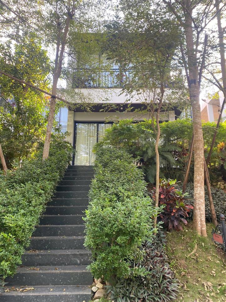 Bán đất nền đấu giá bt 250m2 trong flamingo đại lải, không phải xây. giá chỉ 34tr/m2.0988 970 ***