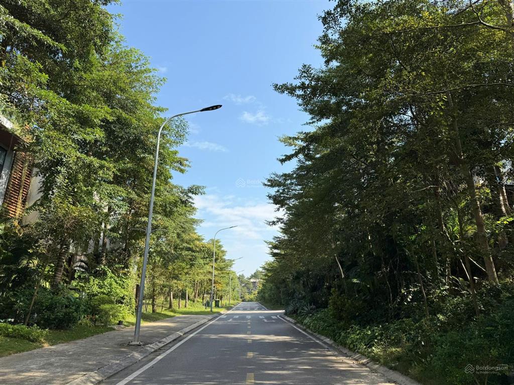 Bán đất nền đấu giá bt 250m2 trong flamingo đại lải, không phải xây. giá chỉ 34tr/m2.0988 970 ***