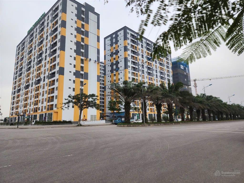 Bán nhà khu đô thị seoul ecohome, đối diện khu chung cư evergreen tràng duệ, an dương, hải phòng