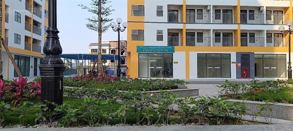 Bán nhà khu đô thị seoul ecohome, đối diện khu chung cư evergreen tràng duệ, an dương, hải phòng