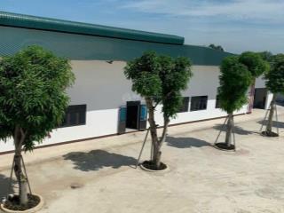 Chuyển nhượng nhà máy may mặc đang hoạt động tại thanh hóa vào vận hành ngay