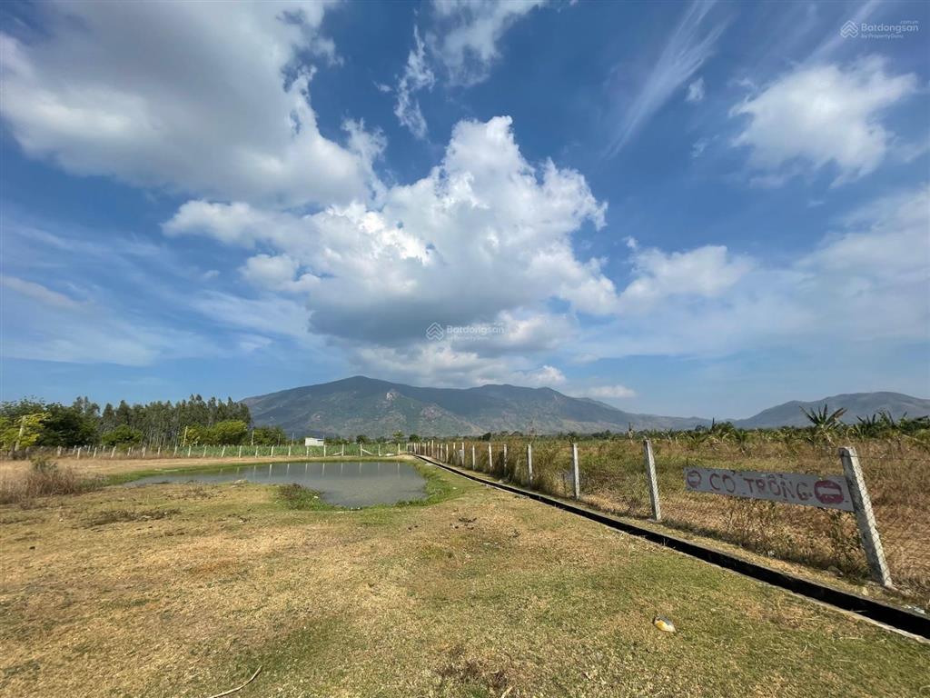Chính chủ bán nhanh 3.5ha đất ninh thuận giá 3,1 tỷ tl, đường nhựa xe tải tới đất. 0937 379 ***