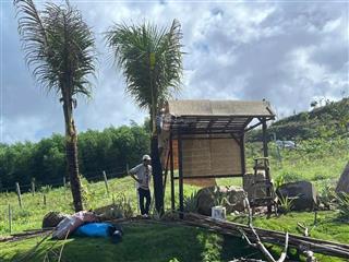 3.2 tỷ sở hữu lô đất nhà vườn đẹp như mơ tại ninh sơn có 1000m2 thổ cư