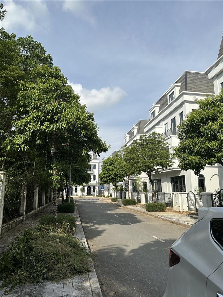 Bán nhanh căn bt solasta  khu b, giá nhỉnh 25 tỷ  đóng tiến độ chủ đầu tư, duy nhất 01 căn