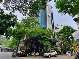 Đắt sắt ra miếng! 1 tỷ/m2 | mặt phố nguyên hồng, đống đa, lô góc 2 mặt đường, 9 tầng bề thế, mt 17m