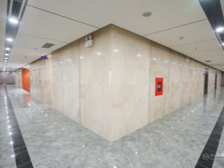 Cho thuê văn phòng vinaconex tower 459c bạch mai, 155m2, 233m2 giá 250n/m2 miễn phí dịch vụ 6 tháng