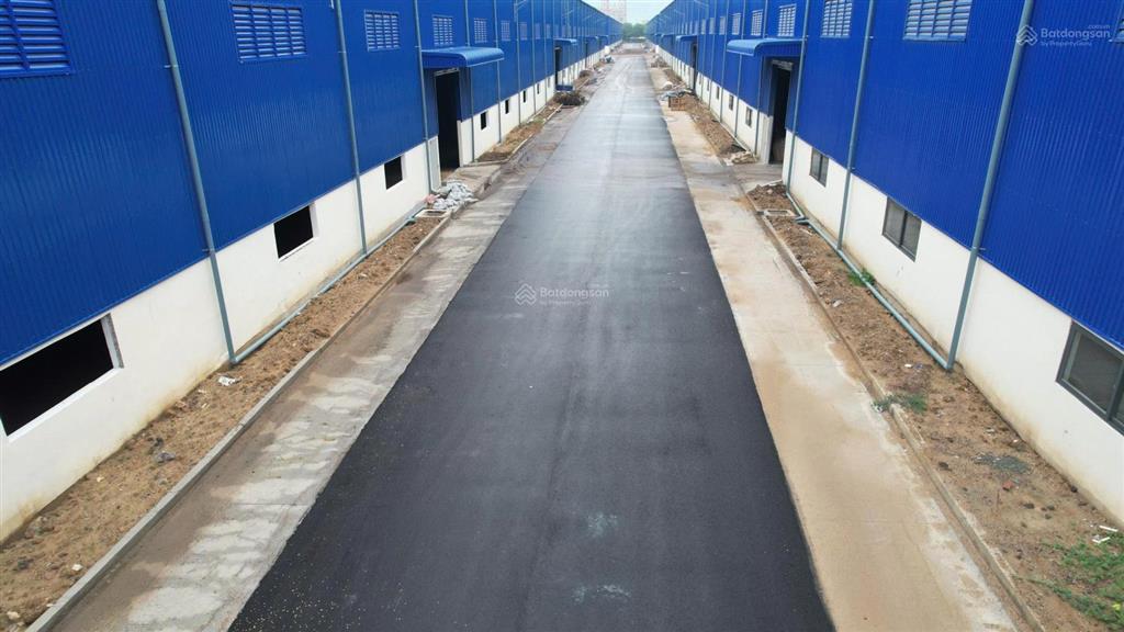 Cho thuê kho xưởng 29.000m2 trong kcn phú mỹ, tp phú mỹ, bà rịa vũng tàu, container vào 24/24