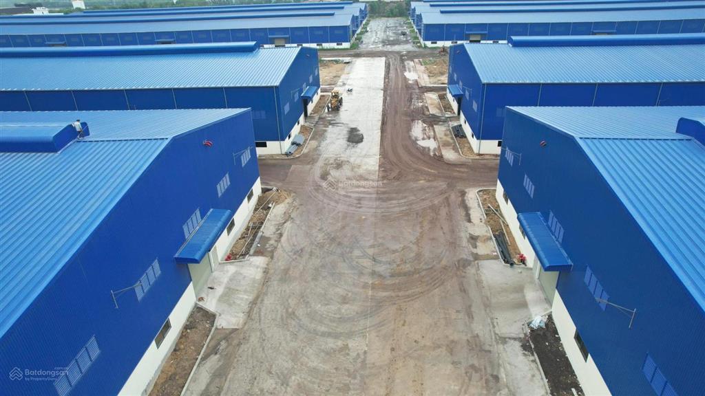 Cho thuê kho xưởng 29.000m2 trong kcn phú mỹ, tp phú mỹ, bà rịa vũng tàu, container vào 24/24