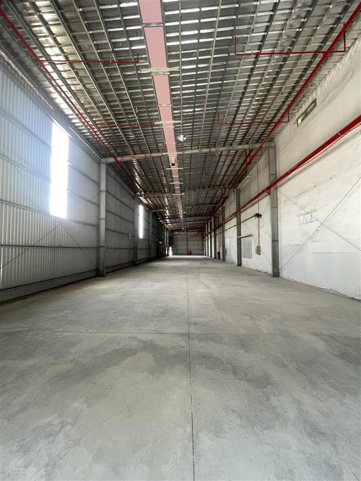 Cho thuê kho chứa hàng 350m2 trong kcn cát lái có pccc tự động, container vào 24/24
