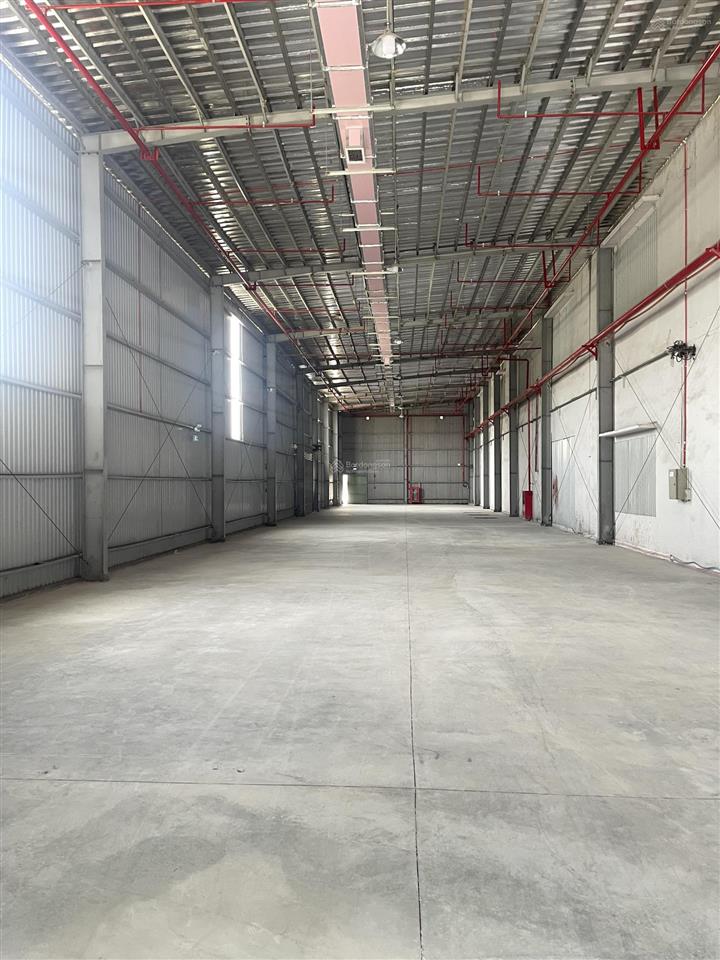 Cho thuê kho chứa hàng 350m2 trong kcn cát lái có pccc tự động, container vào 24/24