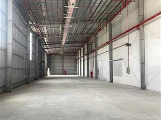 Cho thuê kho chứa hàng 350m2 trong kcn cát lái có pccc tự động, container vào 24/24