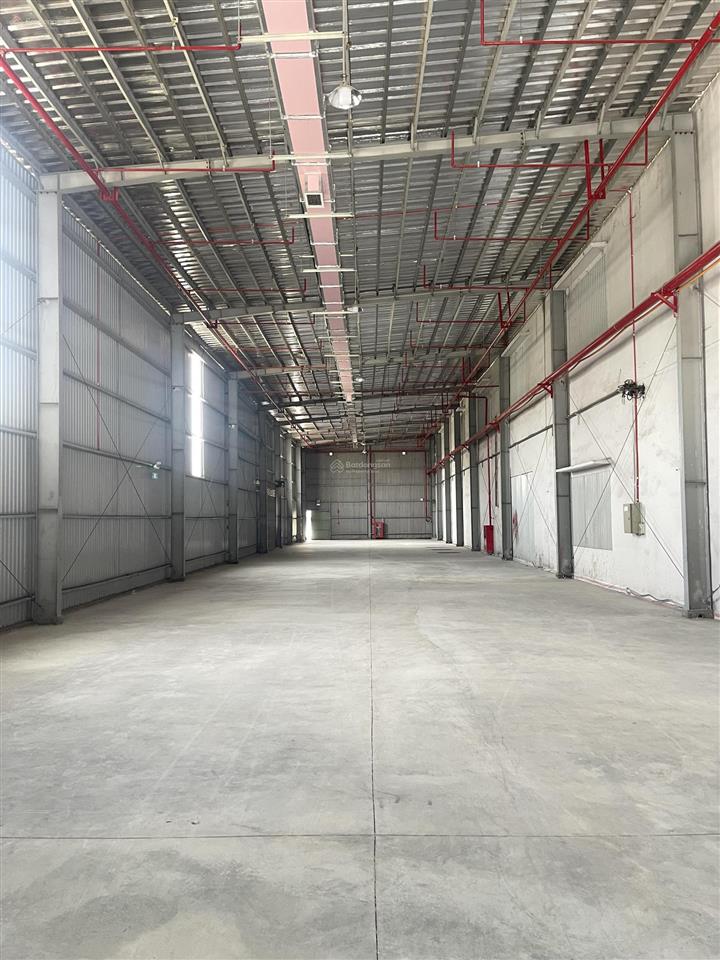 Cho thuê kho chứa hàng 350m2 trong kcn cát lái có pccc tự động, container vào 24/24