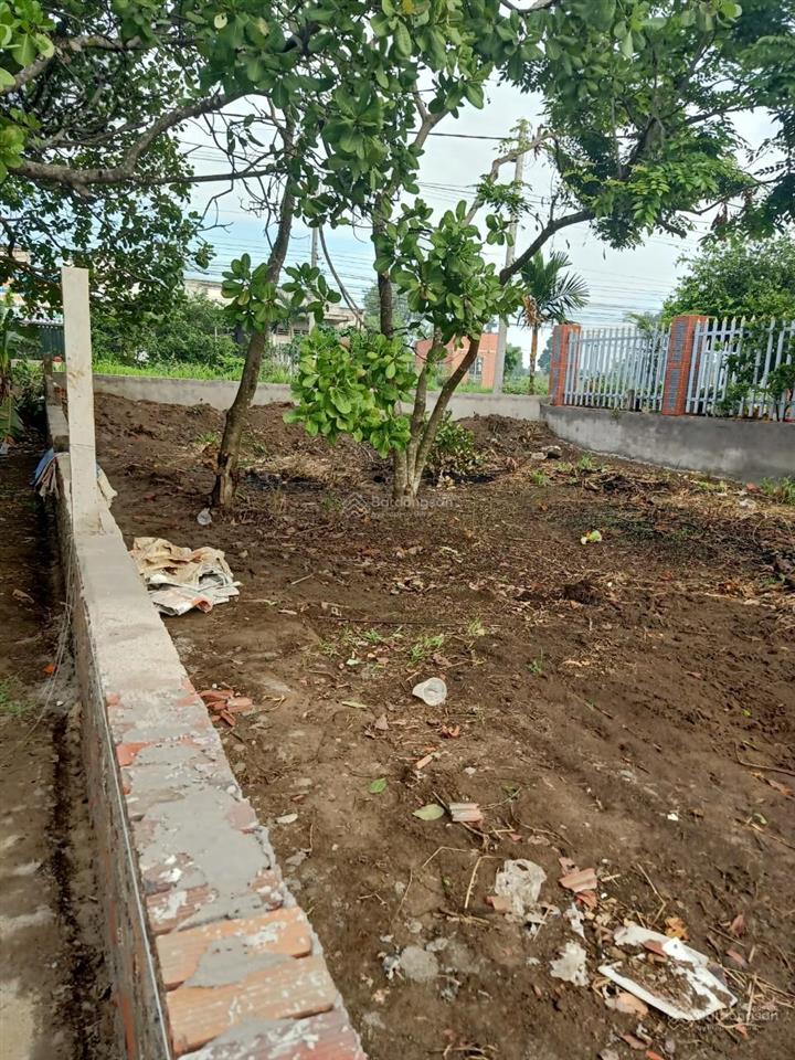 Bán miếng đất mặt tiền 765  xã xuân đông  cẩm mỹ  mặt tiền tỉnh lộ 765