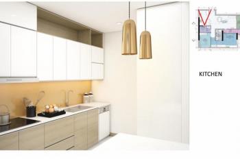 Bán cc sunwah pearl, 8.5 tỷ, 55m2, 1pn, bình thạnh, hcm hàng hot  sắp có sổ hồng