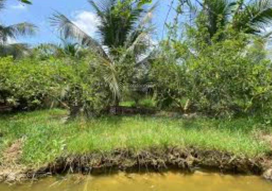 Ra hàng quỹ đất 6.000m² tại phú hòa đông, củ chi