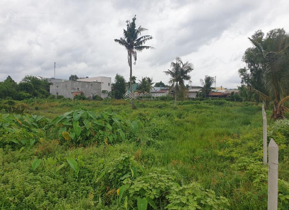 Bán đất long trường, quận 9 (cũ), tp. thủ đức