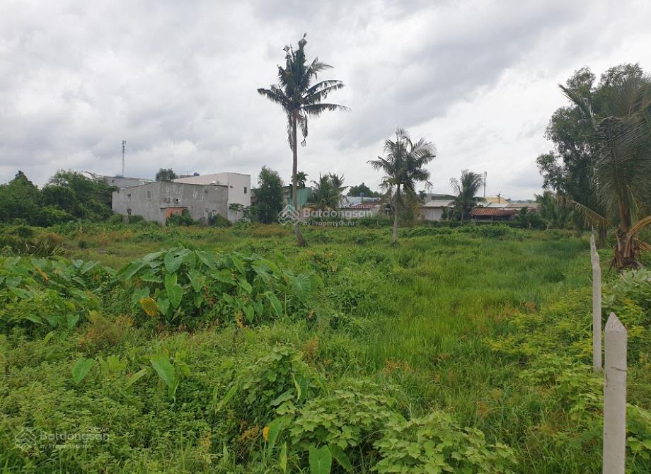 Bán đất long trường, quận 9 (cũ), tp. thủ đức