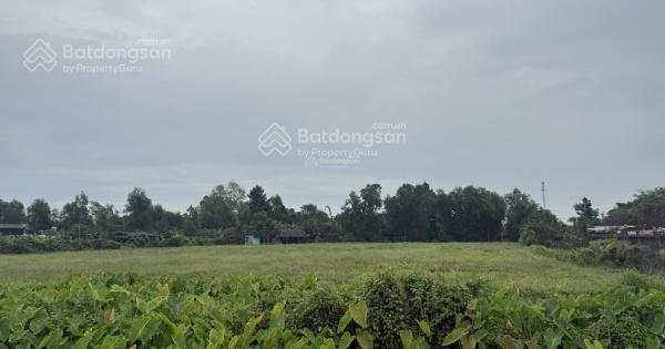 Bán đất 1680m2 tại phước vĩnh an, 4,25 tỷ, huyện củ chi, hồ chí minh