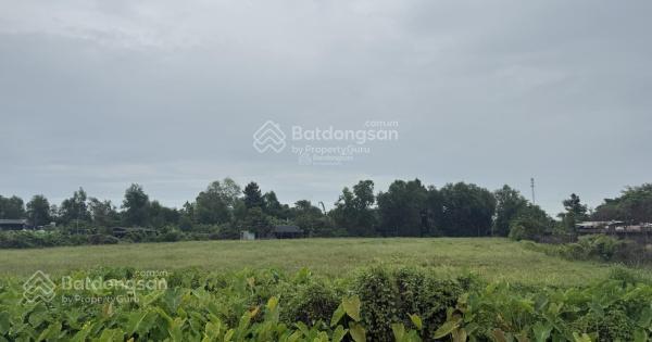 Bán đất 1680m2 tại phước vĩnh an, 4,25 tỷ, huyện củ chi, hồ chí minh