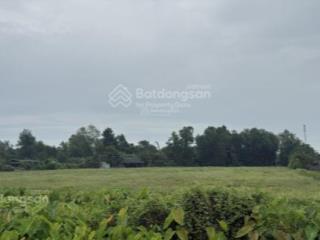 Bán đất 1680m2 tại phước vĩnh an, 4,25 tỷ, huyện củ chi, hồ chí minh