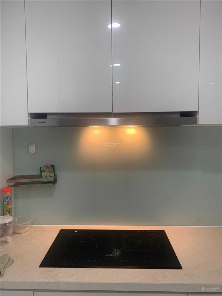 Cần cho thuê căn hộ remax plaza full nội thất mới 3pn  2 wc  0909 920 ***