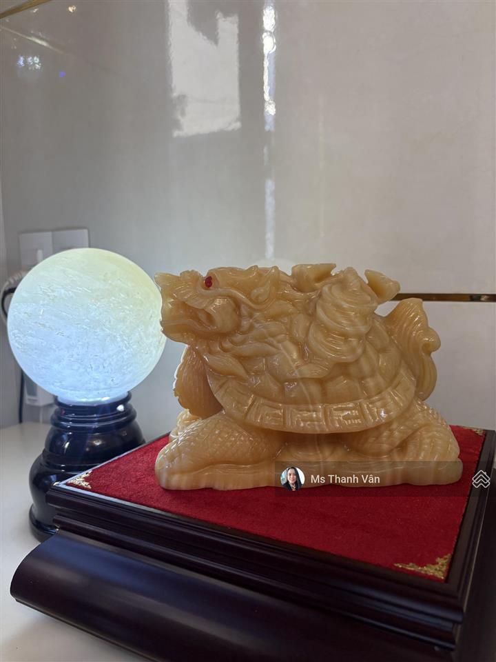 Nhà llq q11 hxh 8m 2 xe hơi đậu đc 5,3x11,5m 4 lầu nội thất châu âu shr ngay chợ bình thới xem mê