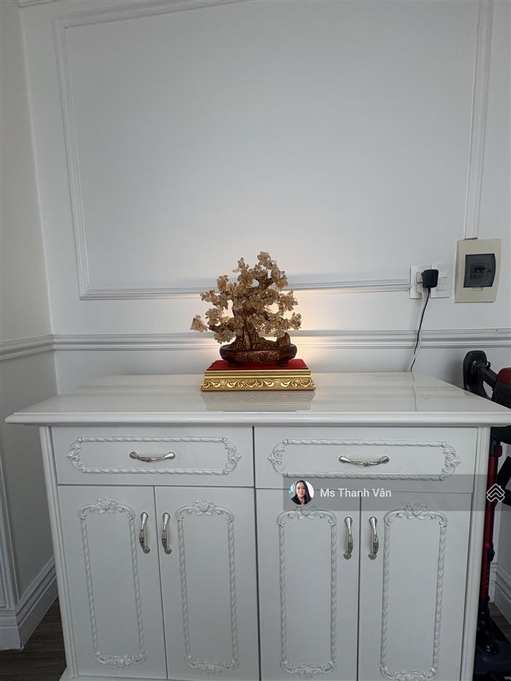 Nhà llq q11 hxh 8m 2 xe hơi đậu đc 5,3x11,5m 4 lầu nội thất châu âu shr ngay chợ bình thới xem mê