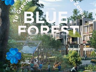Bán nhà phố tm 2 mặt tiền đường 4 tầng tại eco village saigon river, 12 tỷ, nhơn trạch, đồng nai