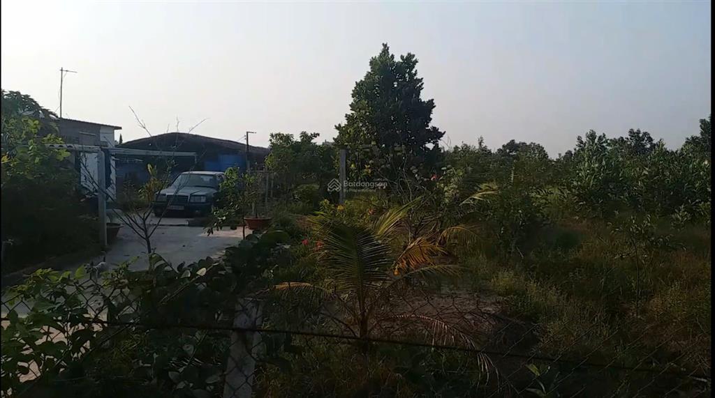 Cần bán lô đất đường kênh 5  vườn thơm, x. bình lợi