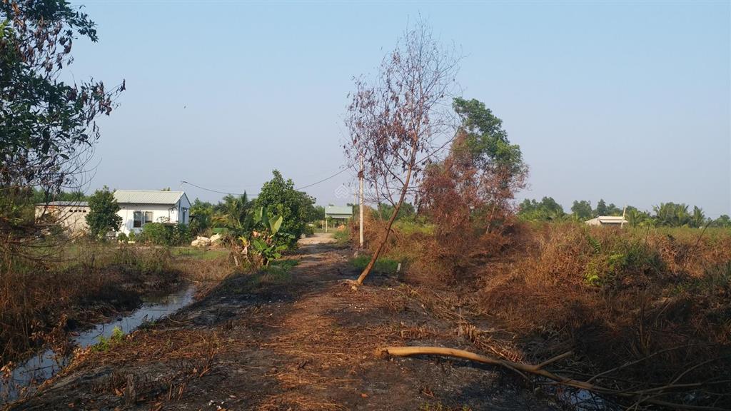 Cần bán lô đất đường kênh 5  vườn thơm, x. bình lợi