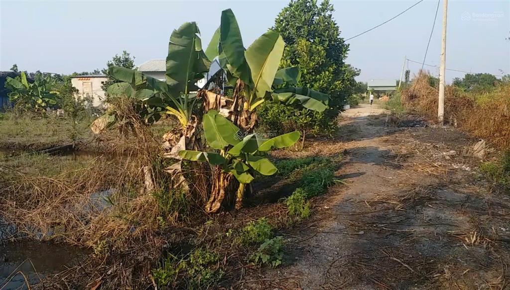 Cần bán lô đất đường kênh 5  vườn thơm, x. bình lợi