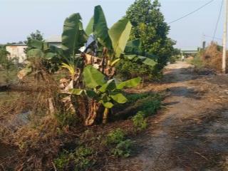 Cần bán lô đất đường kênh 5  vườn thơm, x. bình lợi