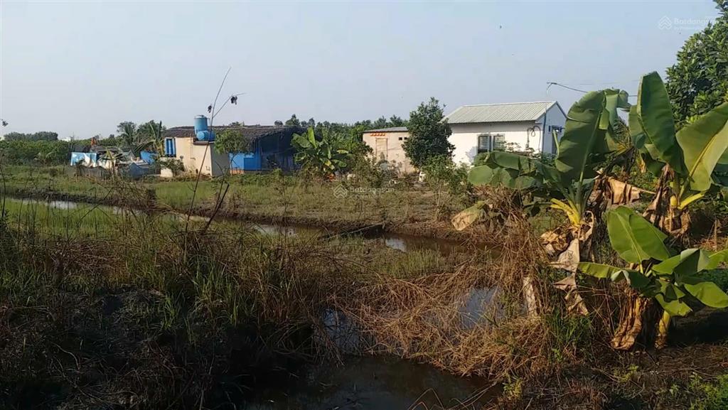 Cần bán lô đất đường kênh 5  vườn thơm, x. bình lợi