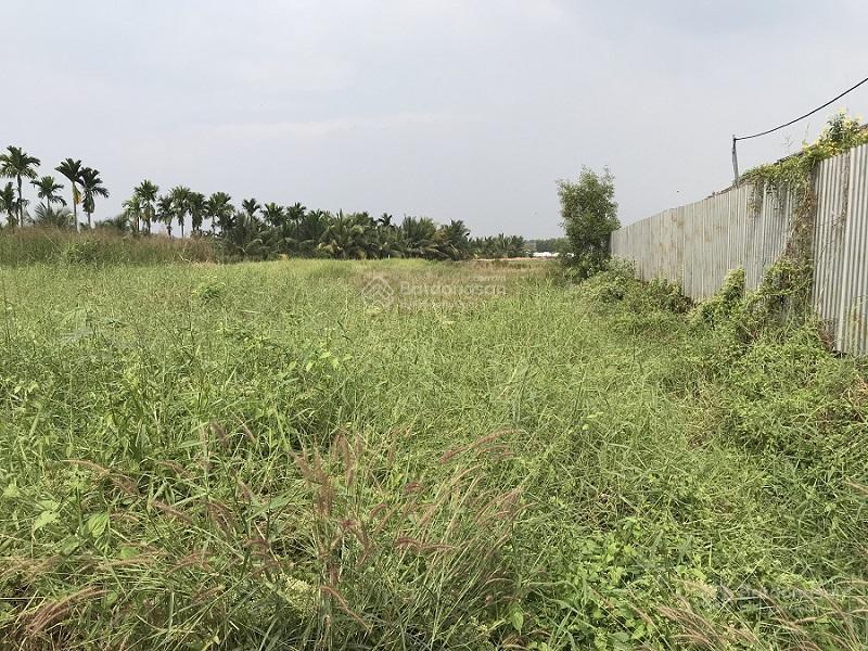 Bán đất mặt tiền đường kênh 10  2.958m2 10tỷ/tl khu b, ấp 4, xã lê minh xuân  bình chánh