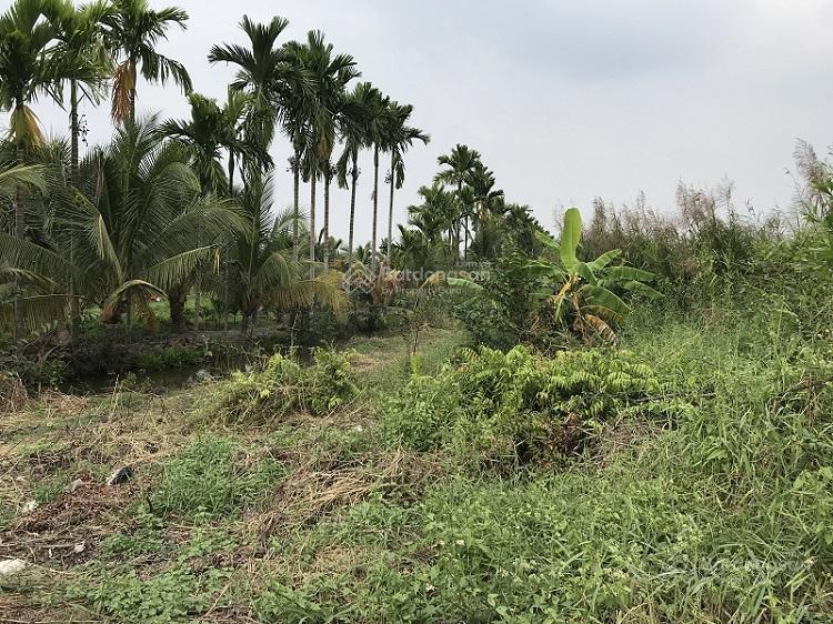 Bán đất mặt tiền đường kênh 10  2.958m2 10tỷ/tl khu b, ấp 4, xã lê minh xuân  bình chánh