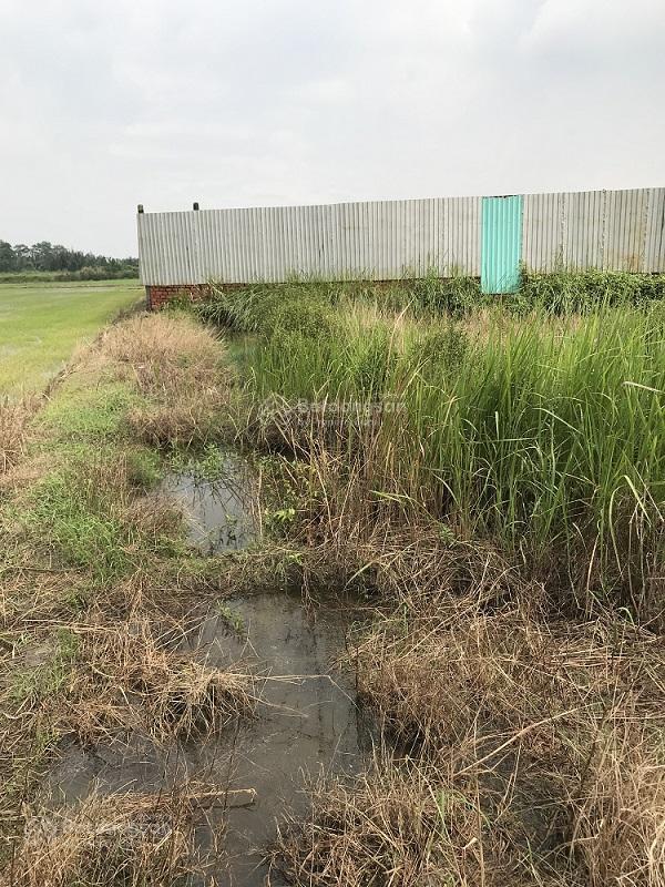 Bán đất mặt tiền đường kênh 10  2.958m2 10tỷ/tl khu b, ấp 4, xã lê minh xuân  bình chánh