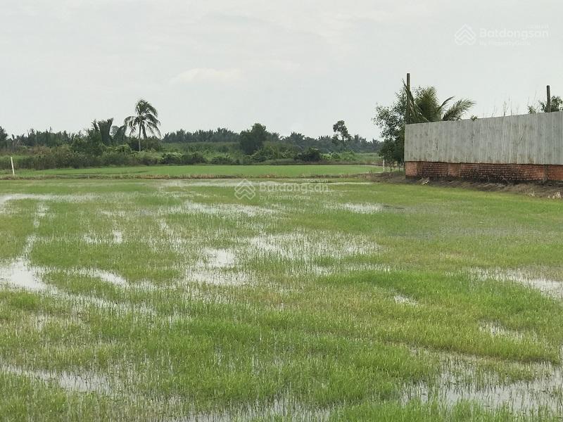 Bán đất mặt tiền đường kênh 10  2.958m2 10tỷ/tl khu b, ấp 4, xã lê minh xuân  bình chánh