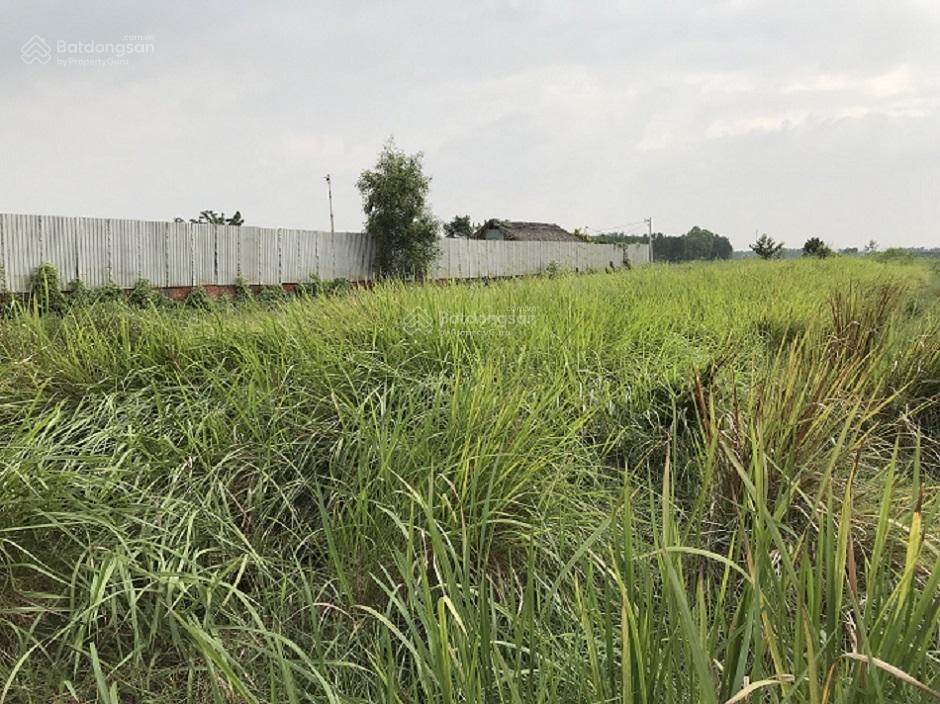 Bán đất mặt tiền đường kênh 10  2.958m2 10tỷ/tl khu b, ấp 4, xã lê minh xuân  bình chánh