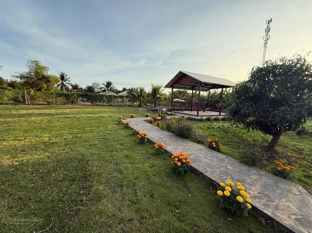 Bán đất nhà vườn mặt tiền đường tư hỷ 2200m2, 8,8 tỷ/tl  xã tân quý tây, huyện bình chánh