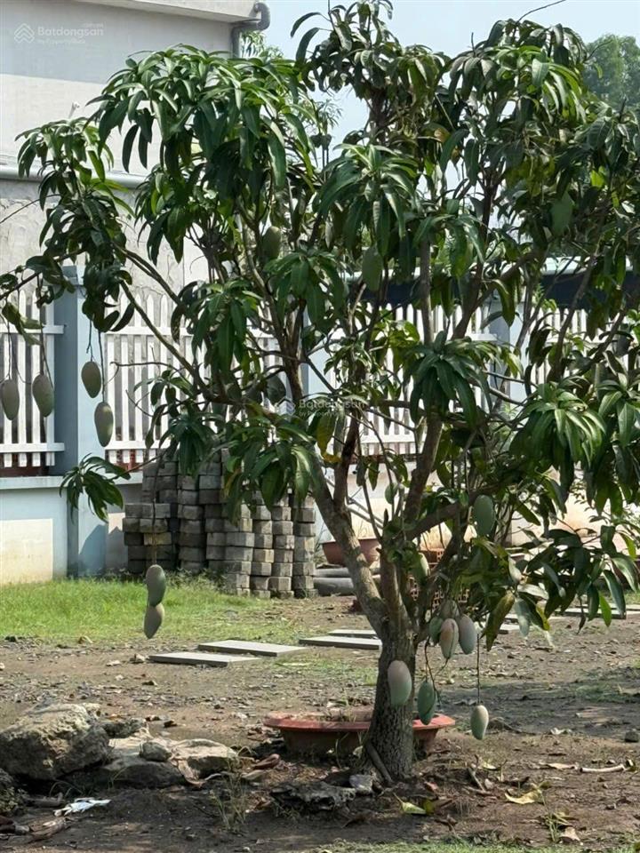 Bán đất nhà vườn mặt tiền đường tư hỷ 2200m2, 8,8 tỷ/tl  xã tân quý tây, huyện bình chánh