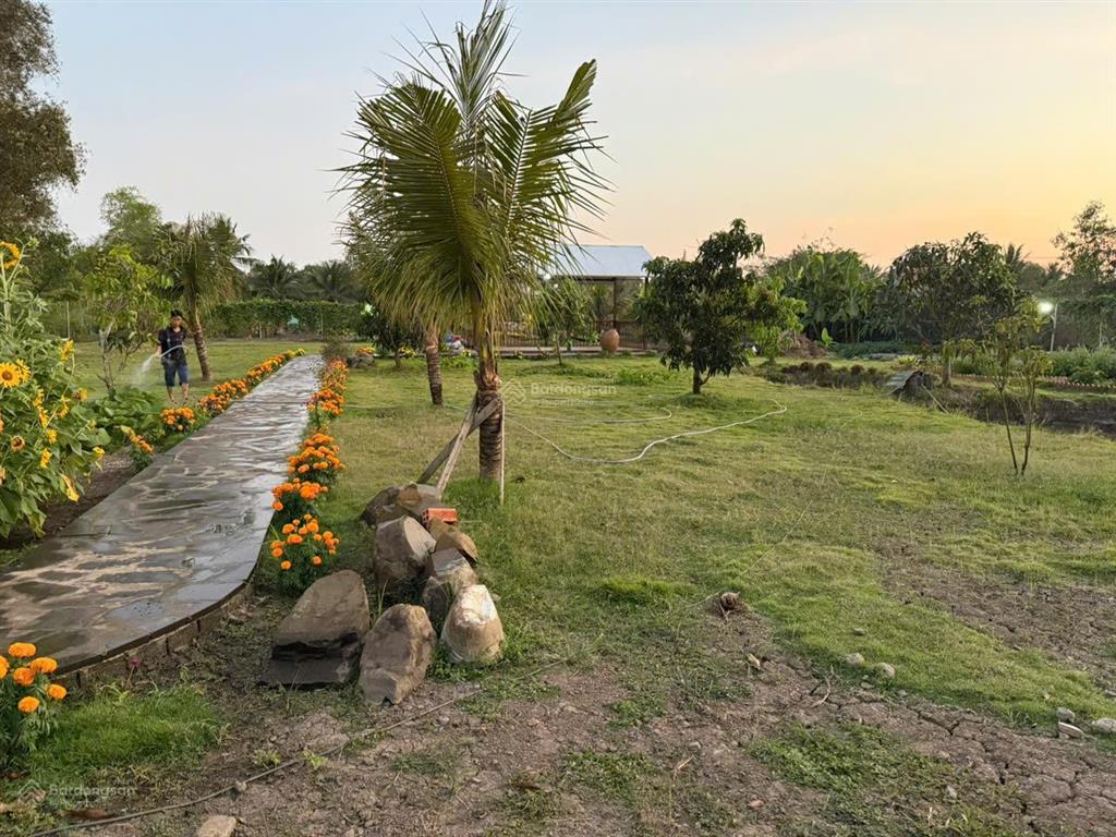 Bán đất nhà vườn mặt tiền đường tư hỷ 2200m2, 8,8 tỷ/tl  xã tân quý tây, huyện bình chánh