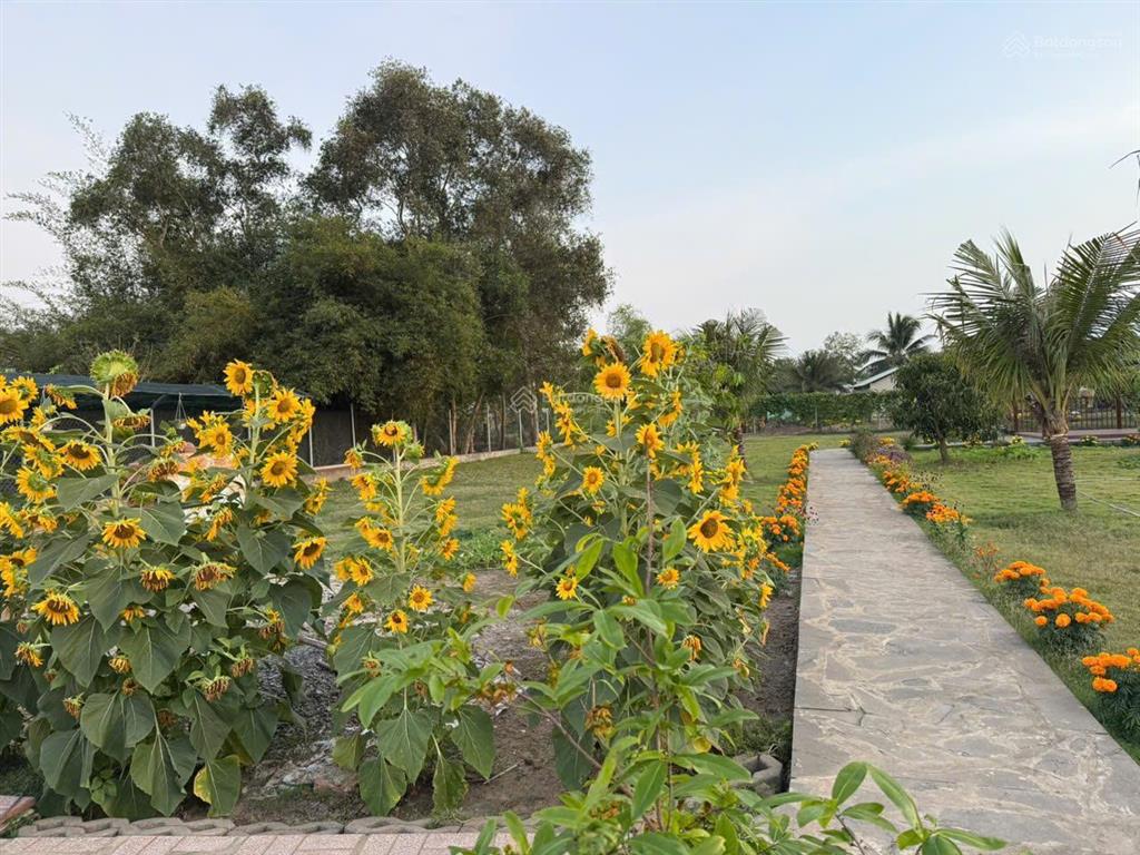 Bán đất nhà vườn mặt tiền đường tư hỷ 2200m2, 8,8 tỷ/tl  xã tân quý tây, huyện bình chánh