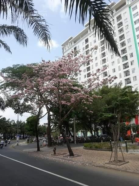 Cần bán lô đất vị trí đẹp khu dương hồng. 100m, giá chỉ 7,2 tỷ tặng luôn cọc móng 0937 777 ***