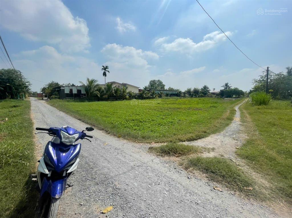 Chính chủ bán 6200m2  sổ riêng  full thổ cách vinhomes long an 2,5km vin tân mỹ, ubnd tương lai