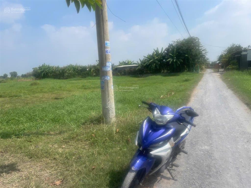Chính chủ bán 6200m2  sổ riêng  full thổ cách vinhomes long an 2,5km vin tân mỹ, ubnd tương lai