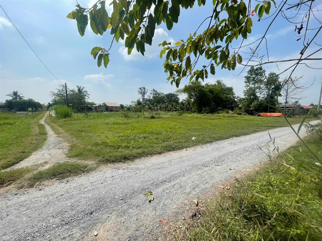 Chính chủ bán 6200m2  sổ riêng  full thổ cách vinhomes long an 2,5km vin tân mỹ, ubnd tương lai