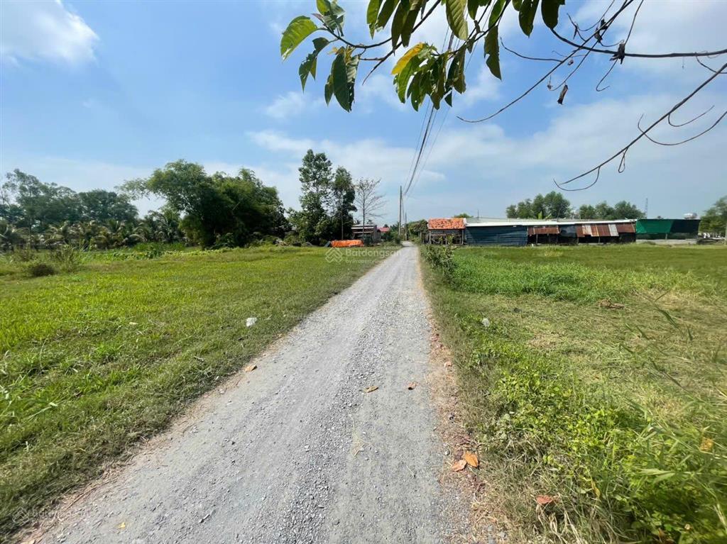 Chính chủ bán 6200m2  sổ riêng  full thổ cách vinhomes long an 2,5km vin tân mỹ, ubnd tương lai