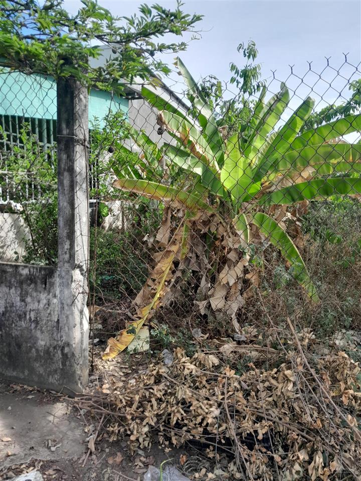 Đất 974m2 mtkd đường tỉnh đt862, gò công đông, tiền giang, 23,5m x 41,5m, sát trung tâm, 6,8 tỷ tl